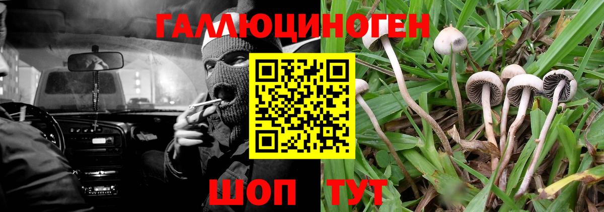 Псилоцибиновые грибы Magic Shrooms  Галлюциногенные грибы мицелий  Вход с VPN  Бийск 